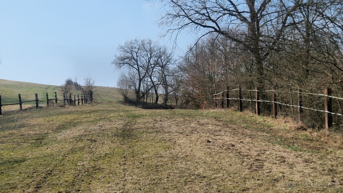 Nabízím ustájení - 6