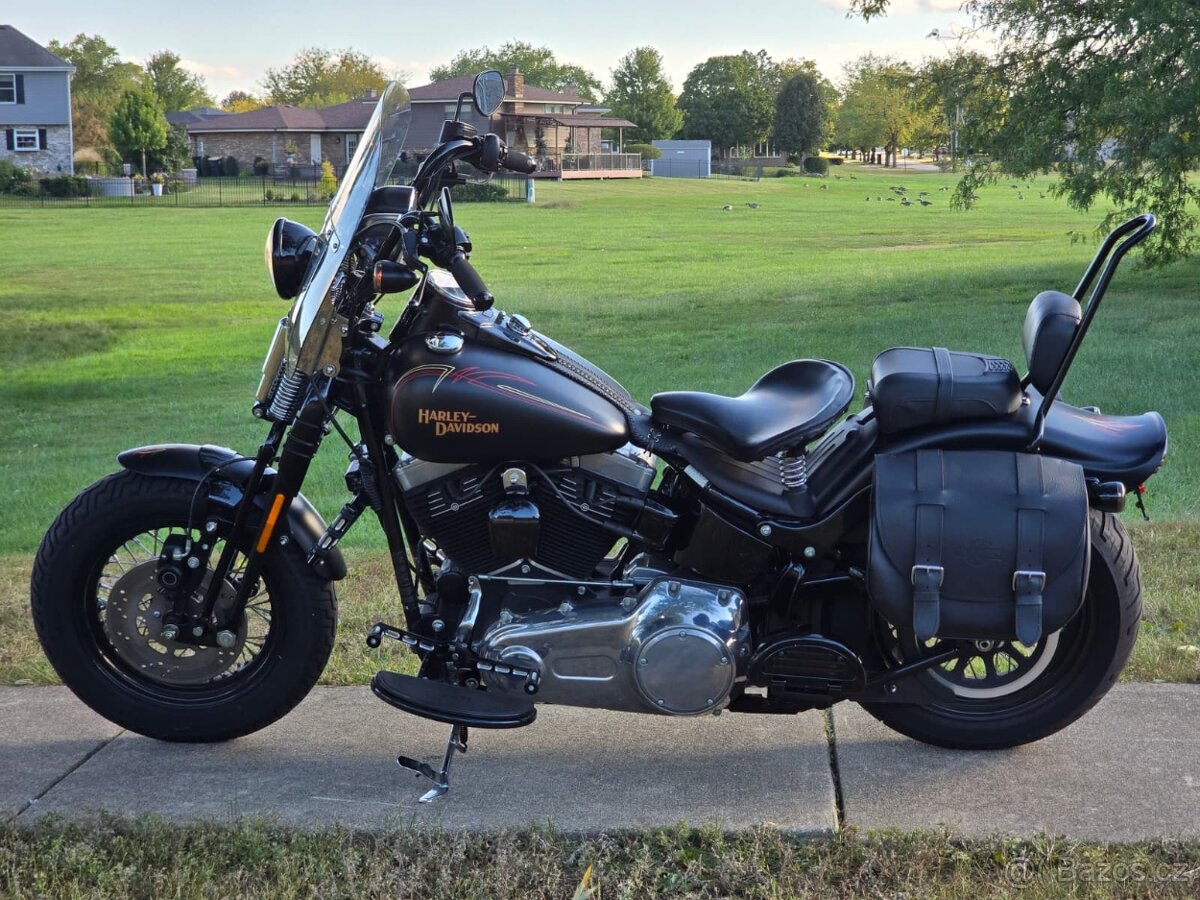 Harley-Davidson FLSTSB Softail Cross Bones 2008 - 6