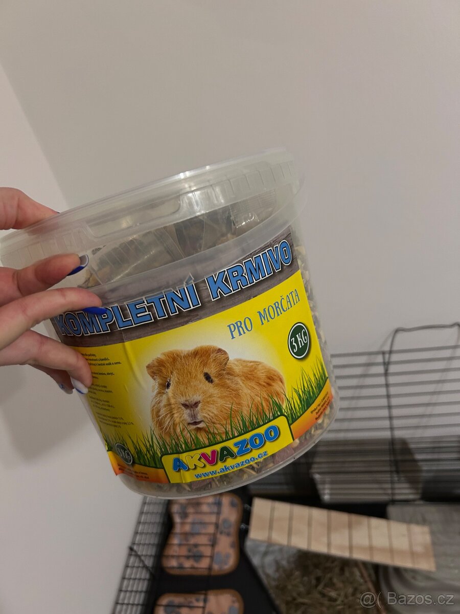 Morčata – kluci - 6