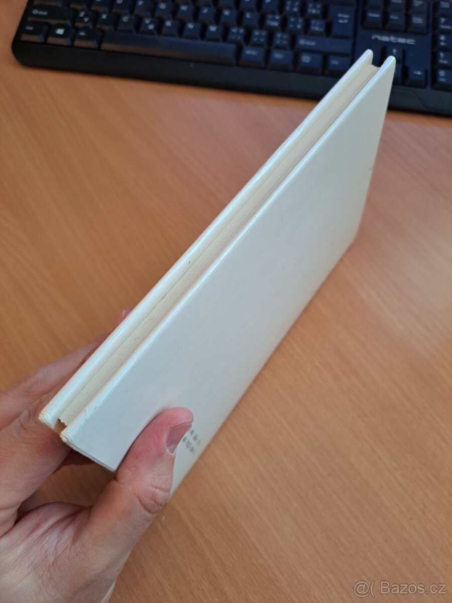 Ideály humanitní - T. G. Masaryk - 6