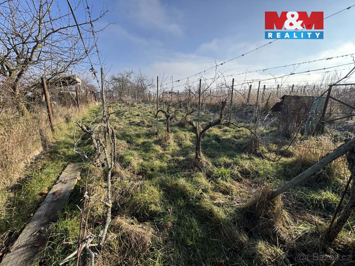 Prodej chaty, Hrušovany u Brna - 6