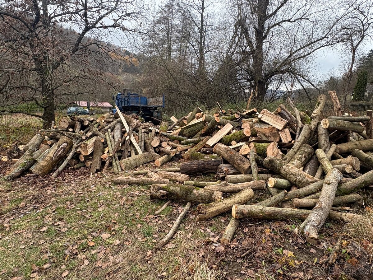 Palivové Dřevo Jasan - 6