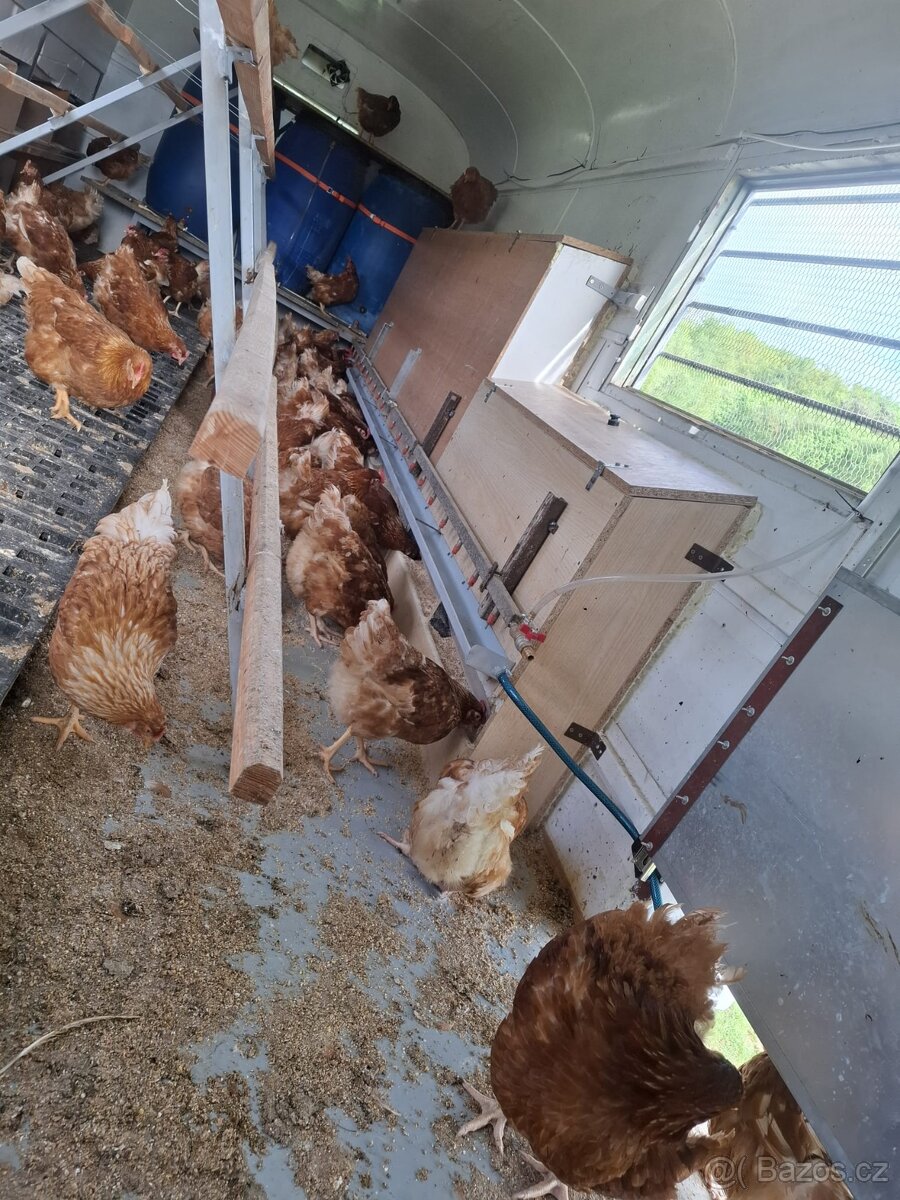 Mobilní kurník/ maringotka - 6