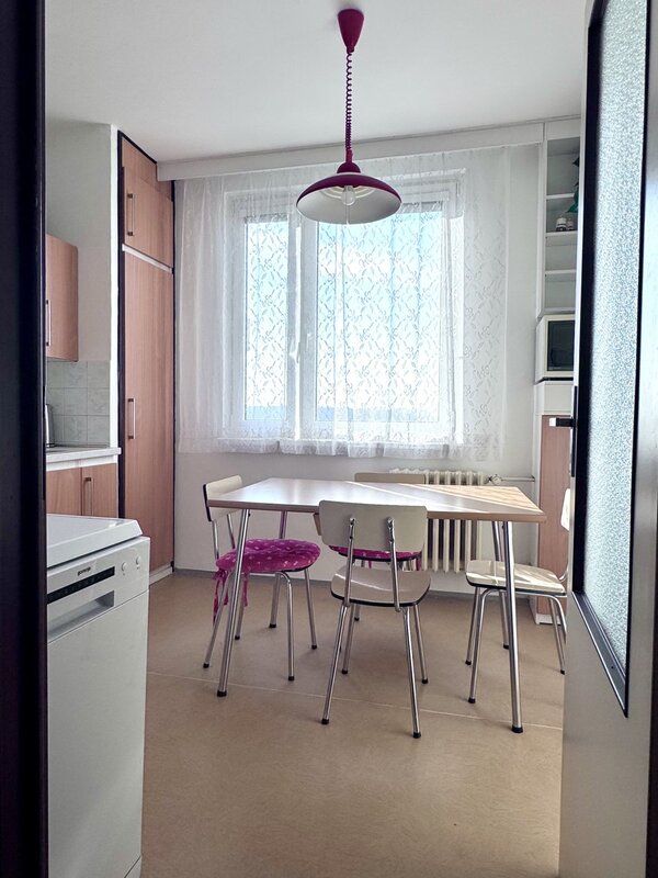 Pronájem kompletně zařízeného bytu 3+1, 77 m2, s terasou a s - 6