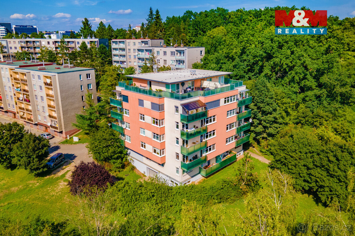 Pronájem bytu 4+kk, 151 m², Plzeň, ul. Bolevecká - 6