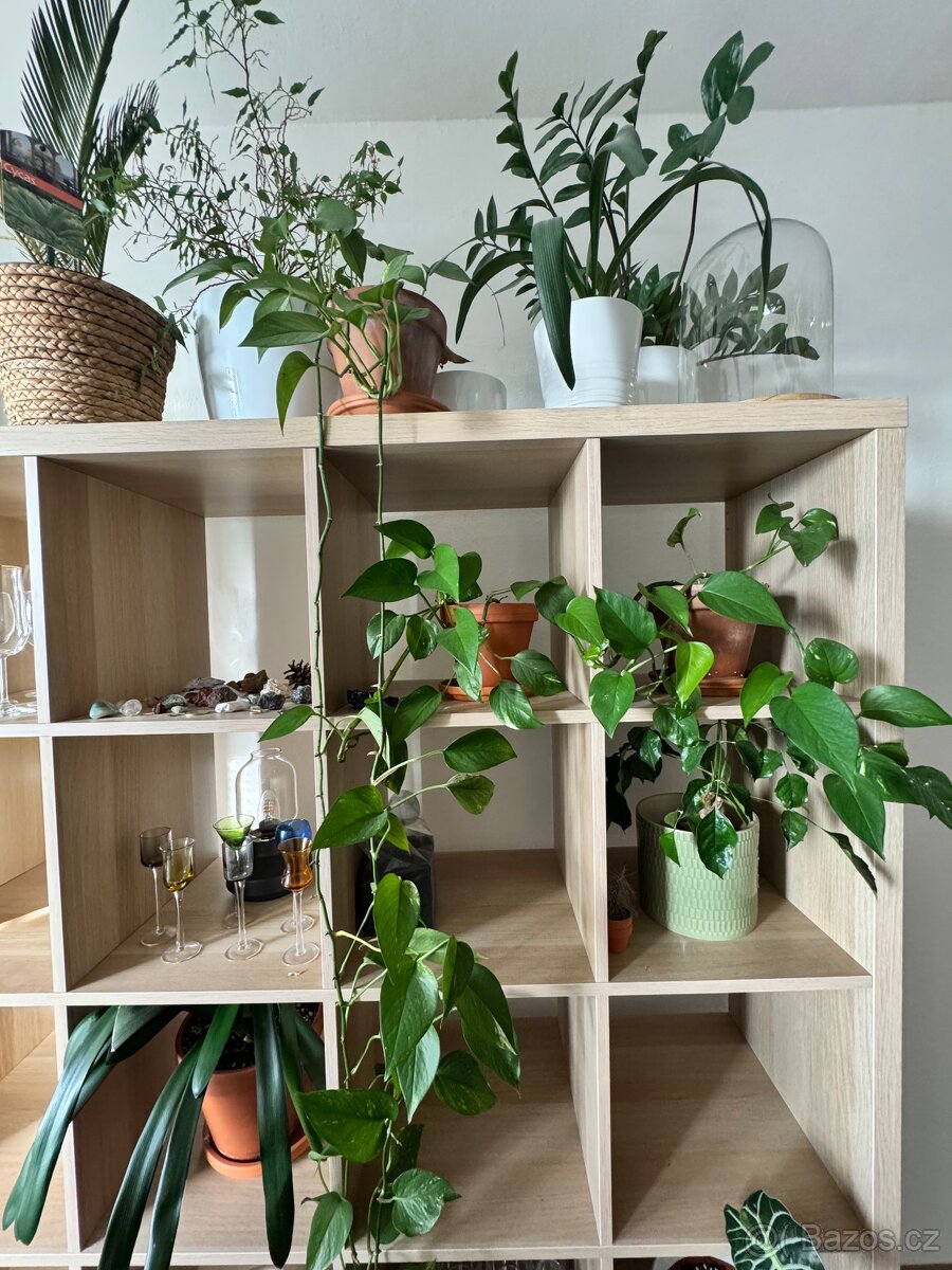 KALLAX policový díl-knihovna - 6