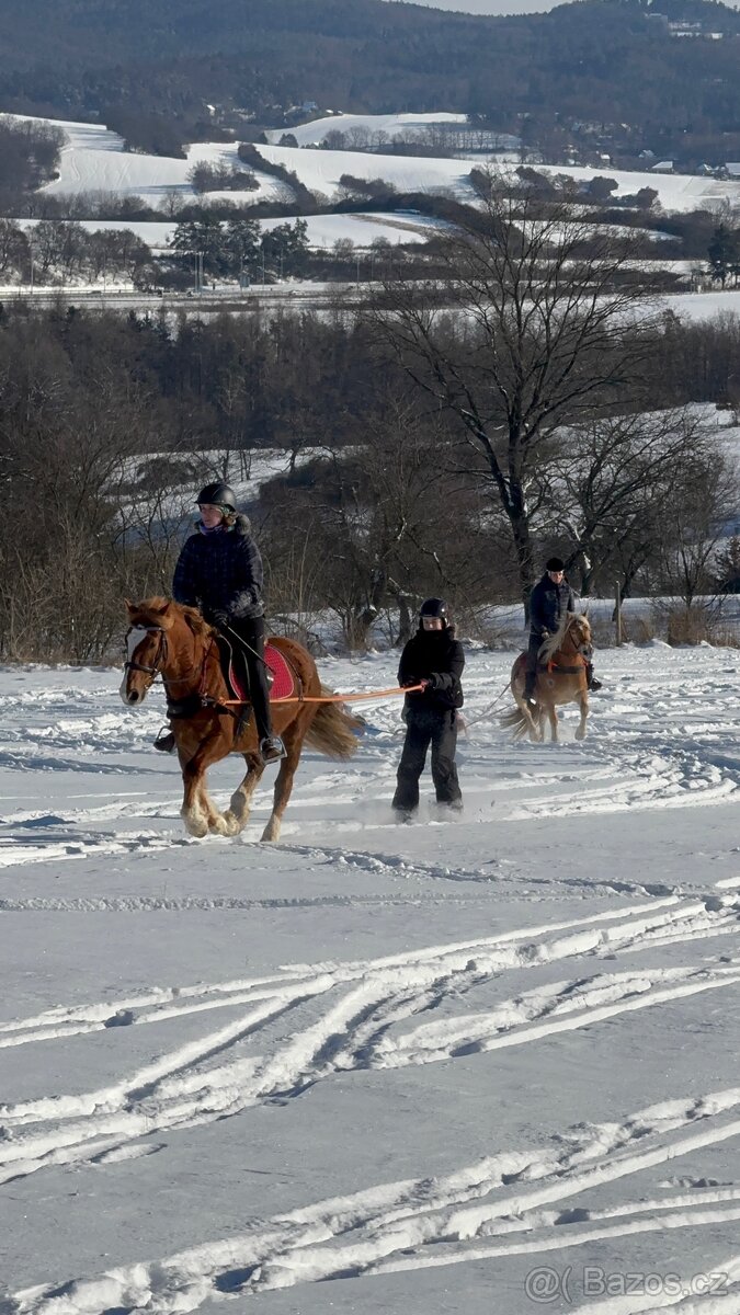 WPBR kobyla i pro začátečníky - 6