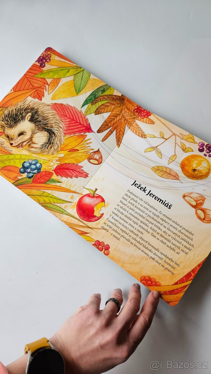 Krátké příběhy na čtení před spaním - 6