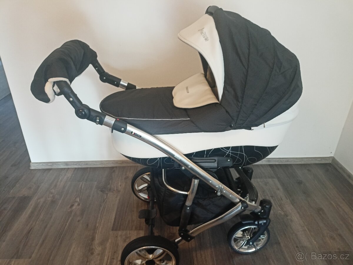 Camarelo alicante - 6