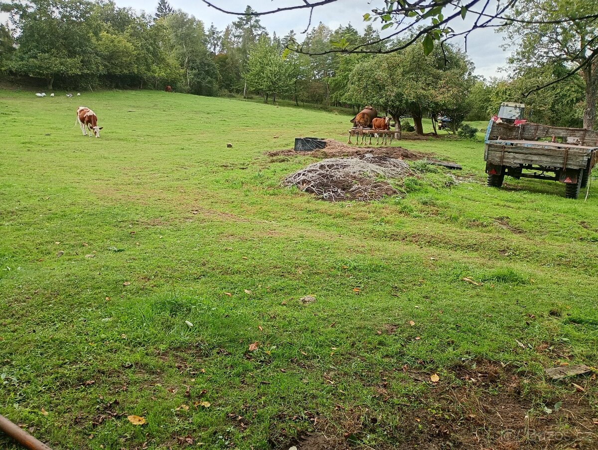 Zahrada v intravilánu obce, výměra: 7.428 m2. - 6