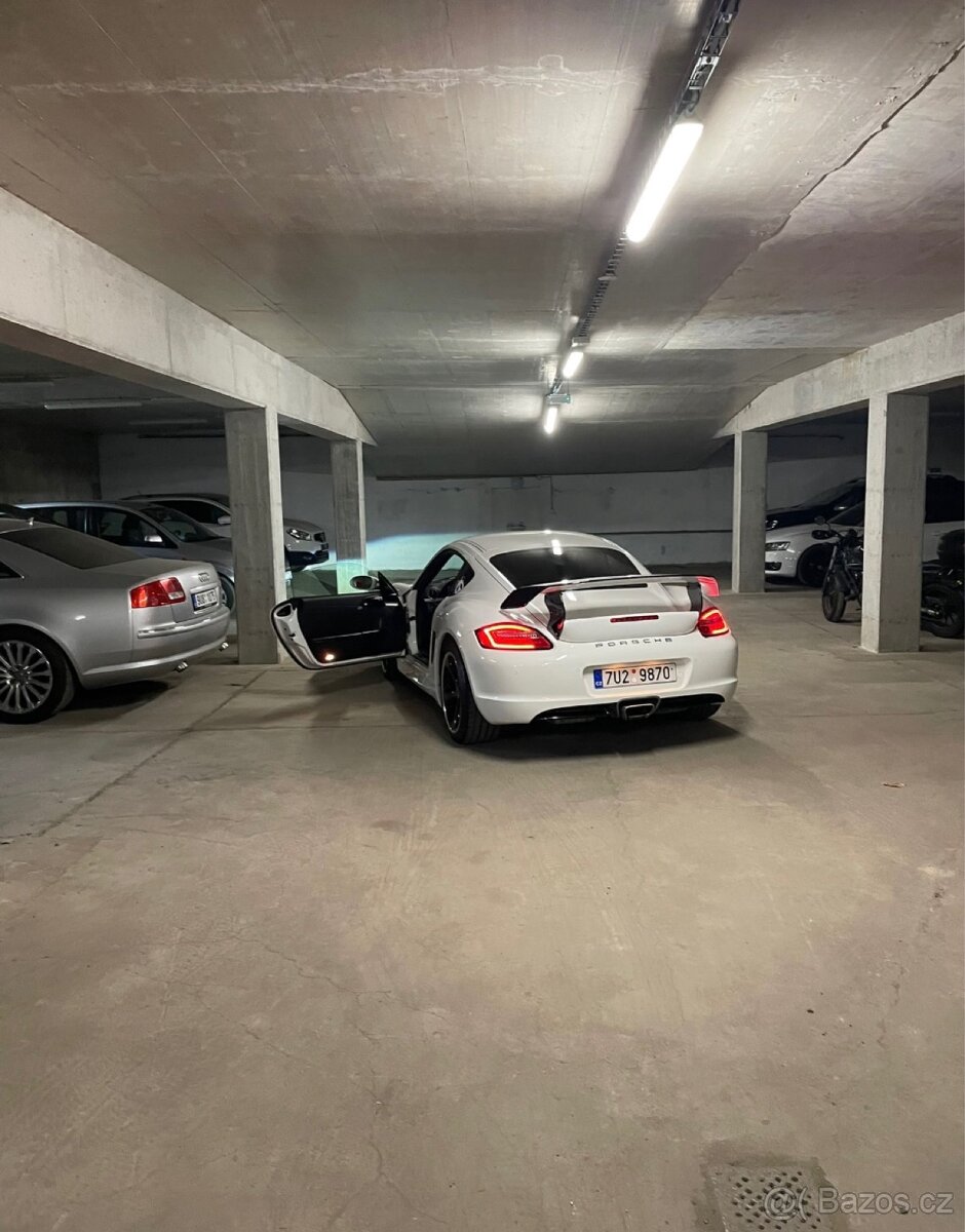 Porsche Cayman GT4/987 "Panda" Techart - 6