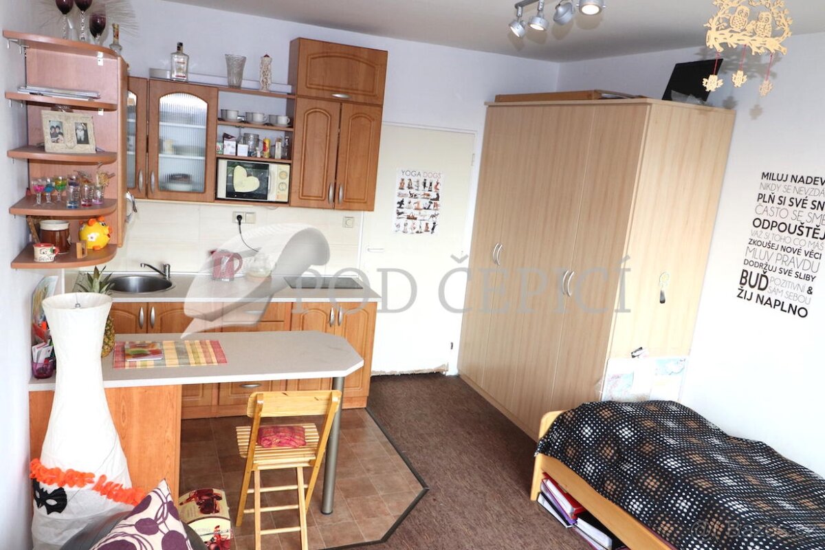 Pronájem bytu 1+kk se sklepem, 26m2, Horácké náměstí, Brno - 6