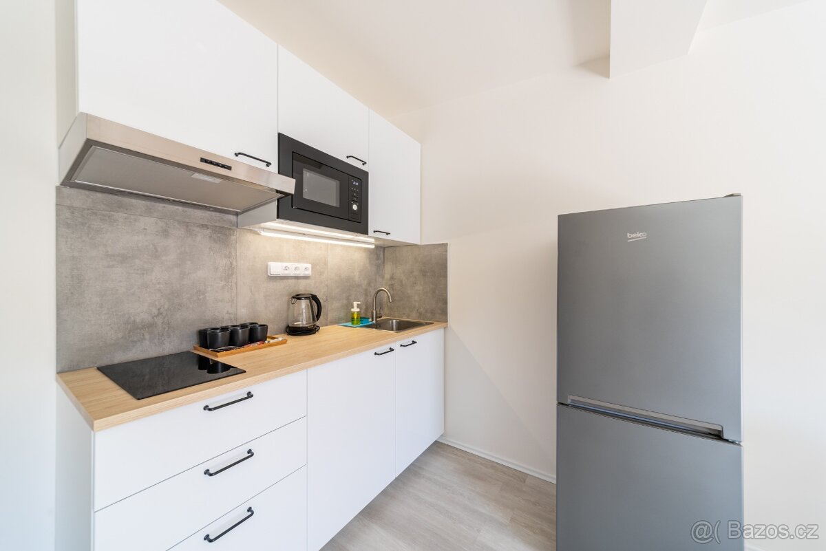Pronájem— byt 2kk v centru Prahy (Žižkov). - 6