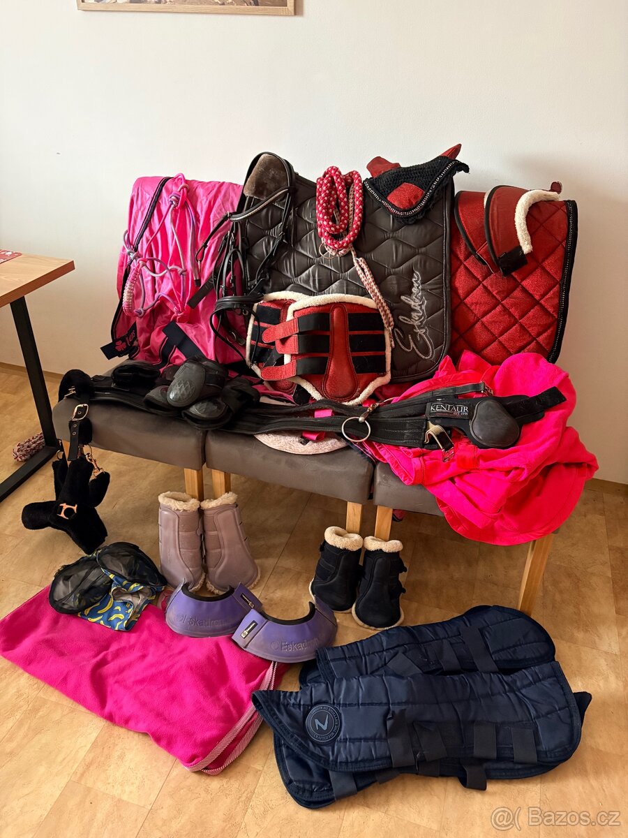 Vánoční balíček pro koně 🐎 - 6