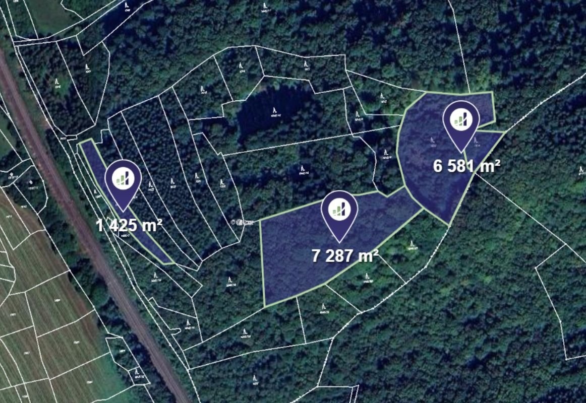 Prodej podílu 1/5 lesa 83 309 m², Prlov - 6