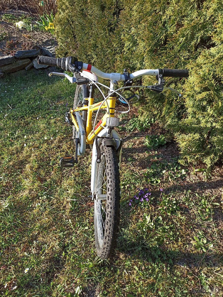 Dětské kolo DEMA DENNY 20" - 6