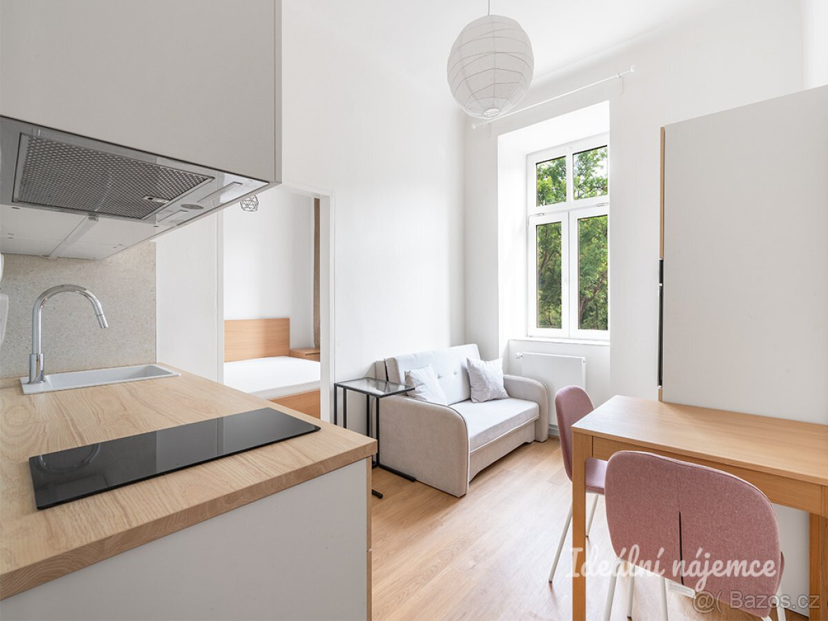 Pronájem bytu 3+1, Plzeňská, Smíchov, 46 m2 - 6