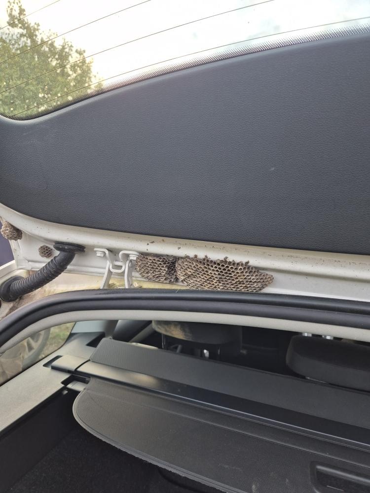 Osobní automobil škoda Octavia Combi - 6