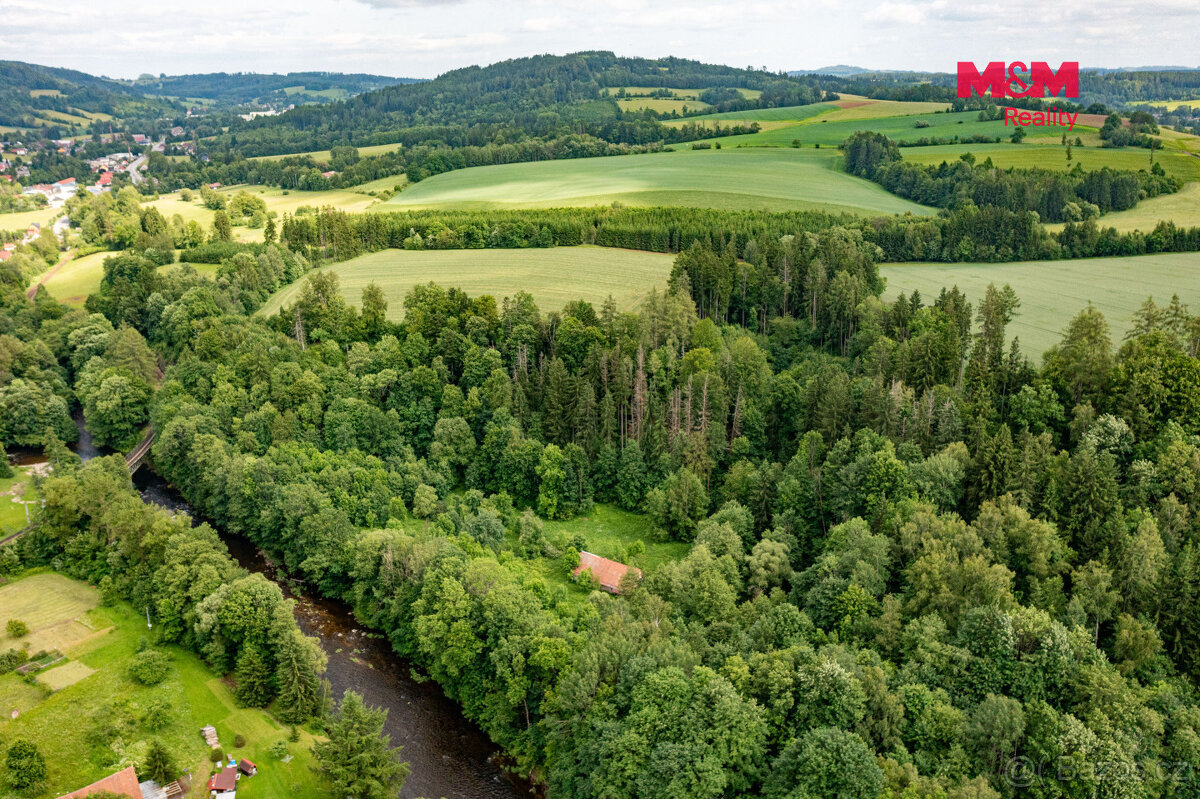 Prodej lesa, 36610 m², Peřimov - 6
