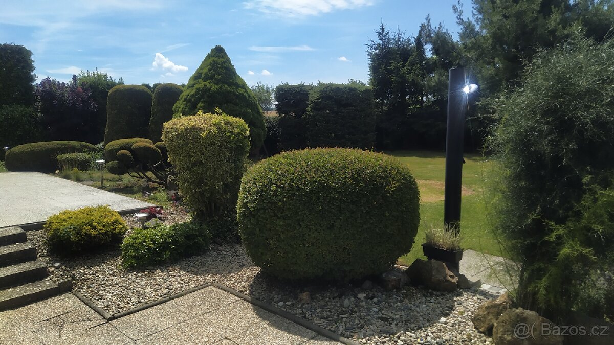 Rodinný dům 6+1+garáž v Litovli, pozemek 1012 m². - 6