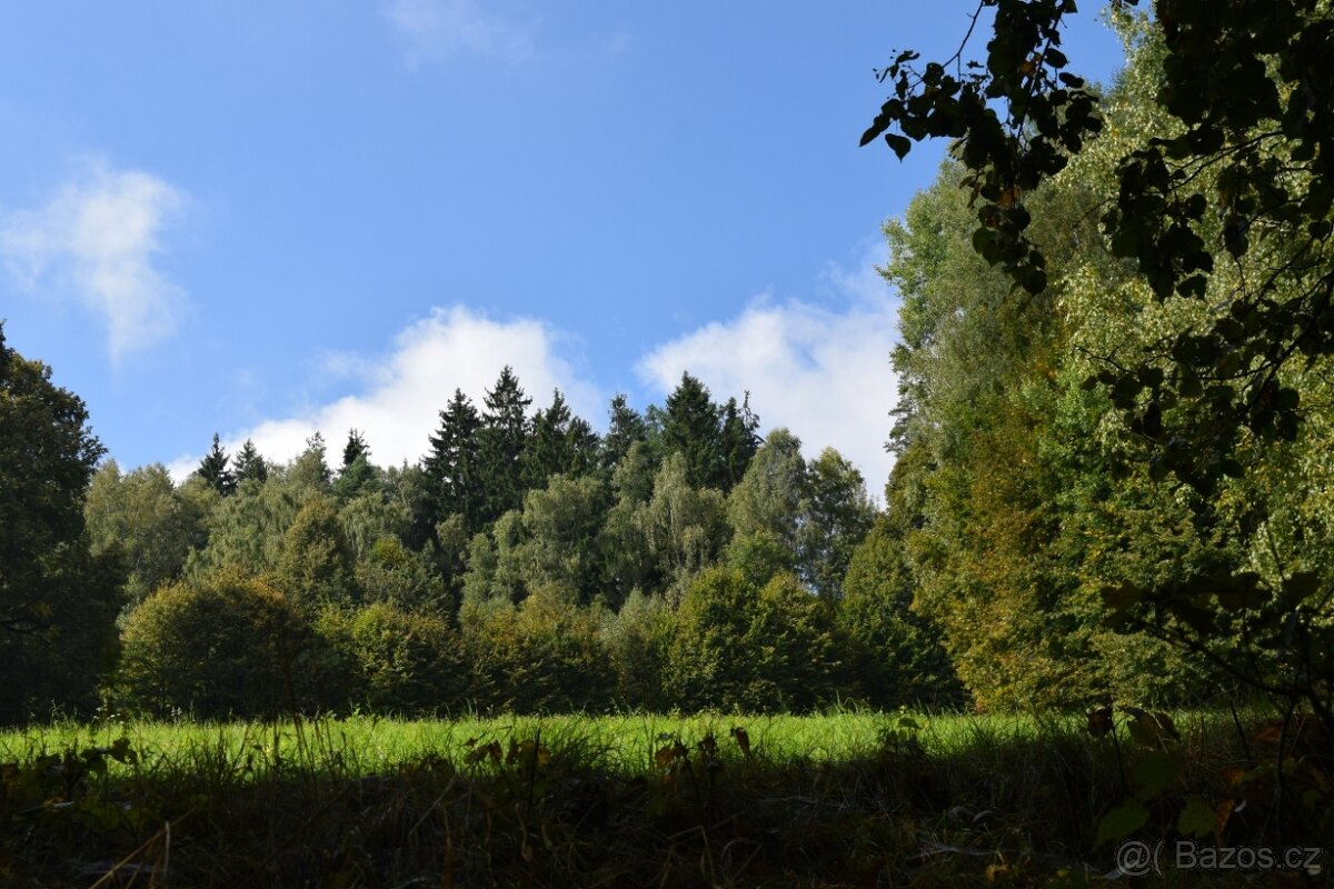 Prodej pozemku v Suchovršicích u Úpice - 6