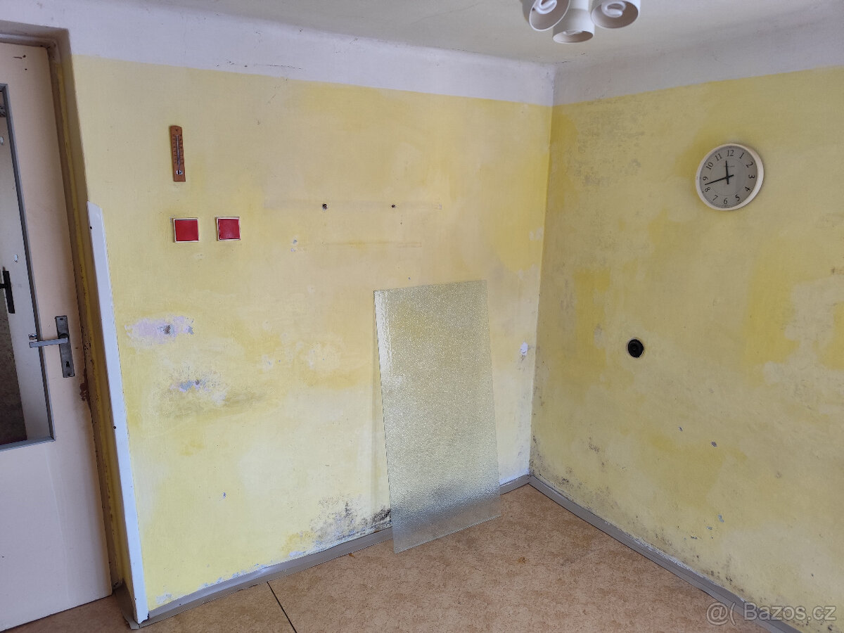 prodej 1/2 Domu + velká zahrada a garáž k tomu. - 6