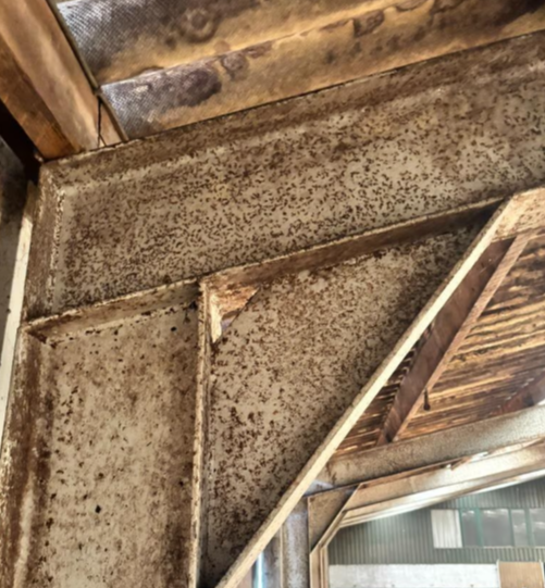 jizdarna demontovana - 6