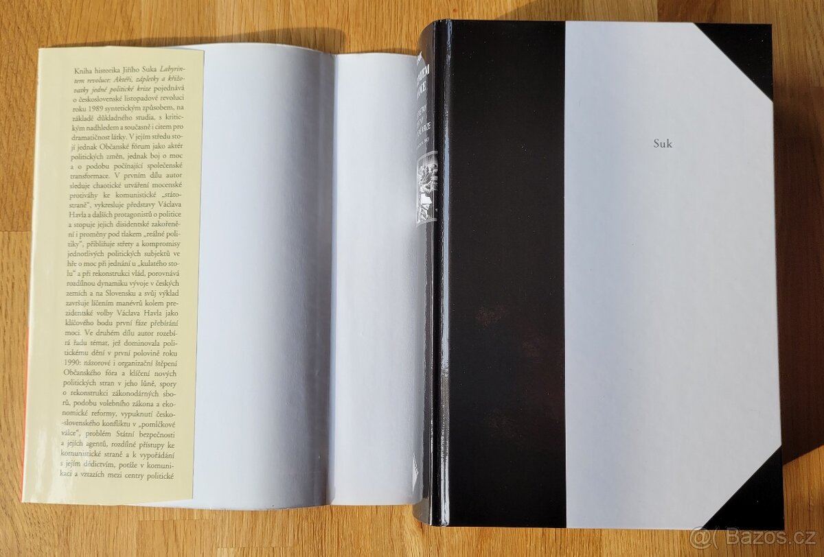 Suk, J.: Labyrintem revoluce, vydal Prostor 2009 - 6