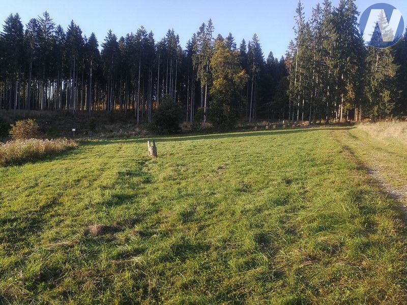 Záhvozdí, pozemek na Šumavě - 6