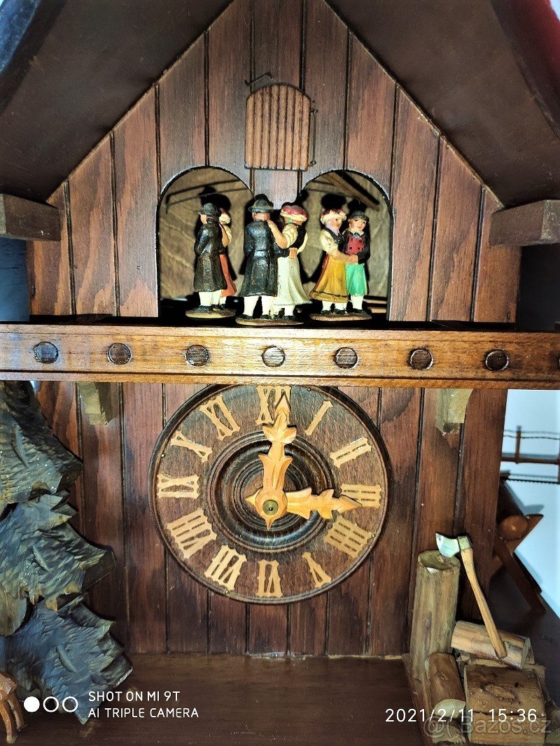 Velke, hraci kukacky, Schwarzwald... - 6