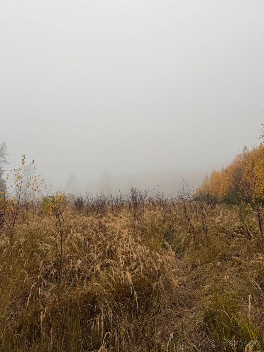 Prodej lesních pozemků k.ú. Úboč - 6