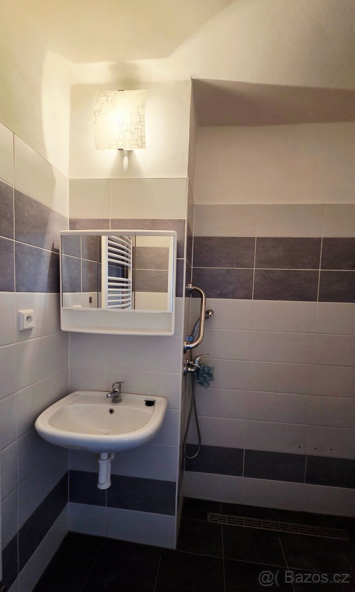 Pronajmu byt 2+1 58 m2 Jince - 6