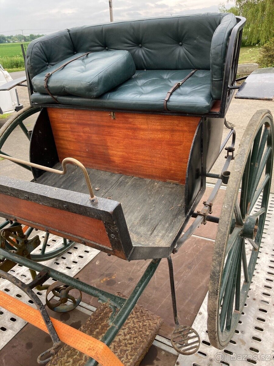 sulka riksa gig dvojkolka jako maratonak/morgan kone popruhy - 6