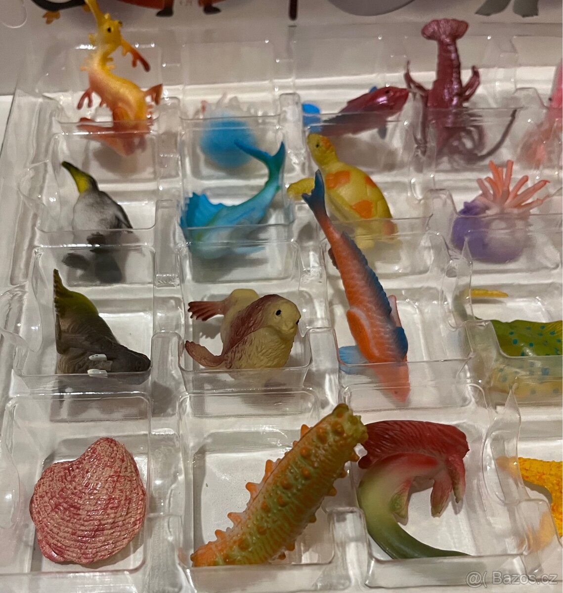 Adventní kalendář - mořský svět - 6