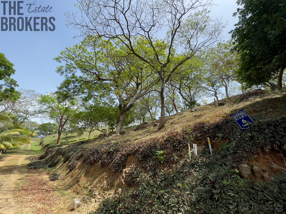 LOT 6 Bodden Bight Estate, Roatan - 6