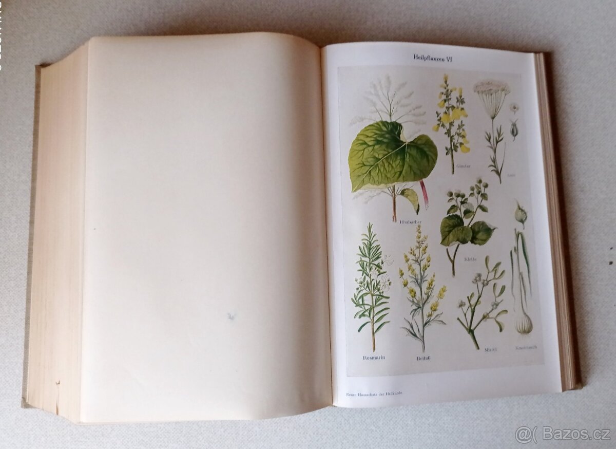 Domácí lékař r. 1938 - 6