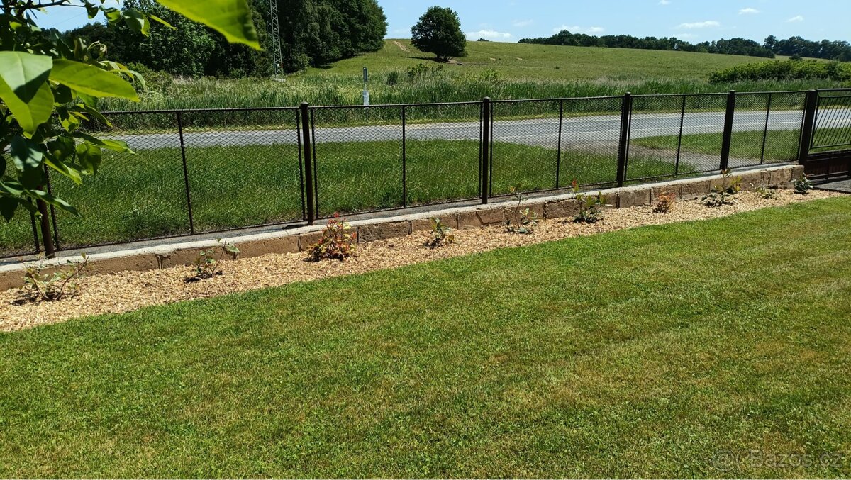 Dřevní stepka-Listnaté dřevo - 6