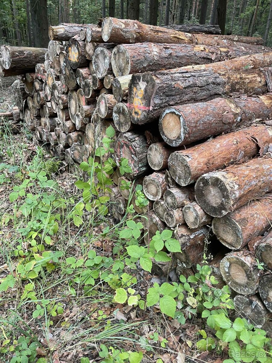 Kvalitní dřevo na topení – od 900 Kč - 6