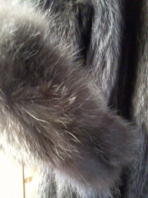 kožich mýval - 6