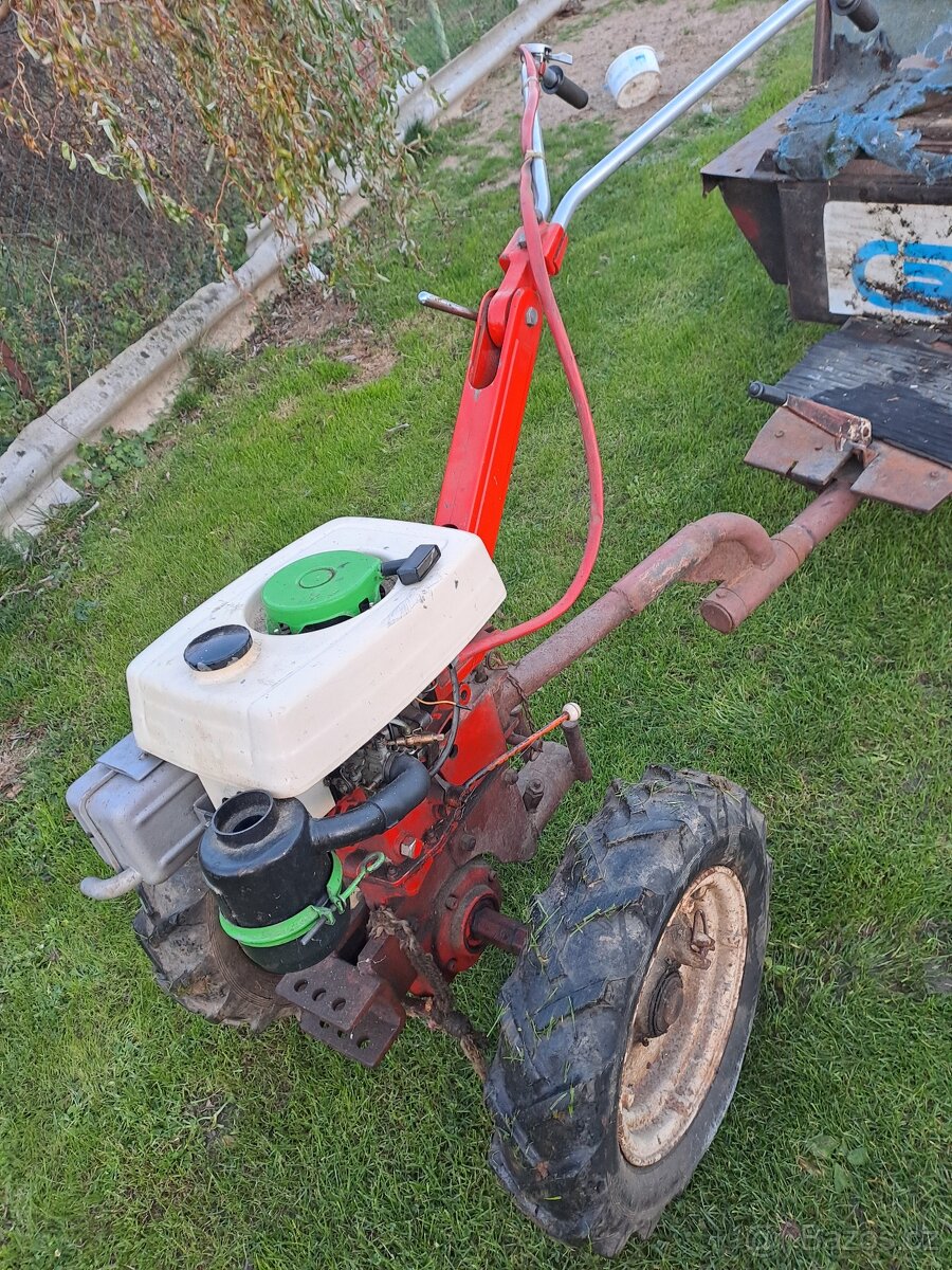 Terra vari - 6