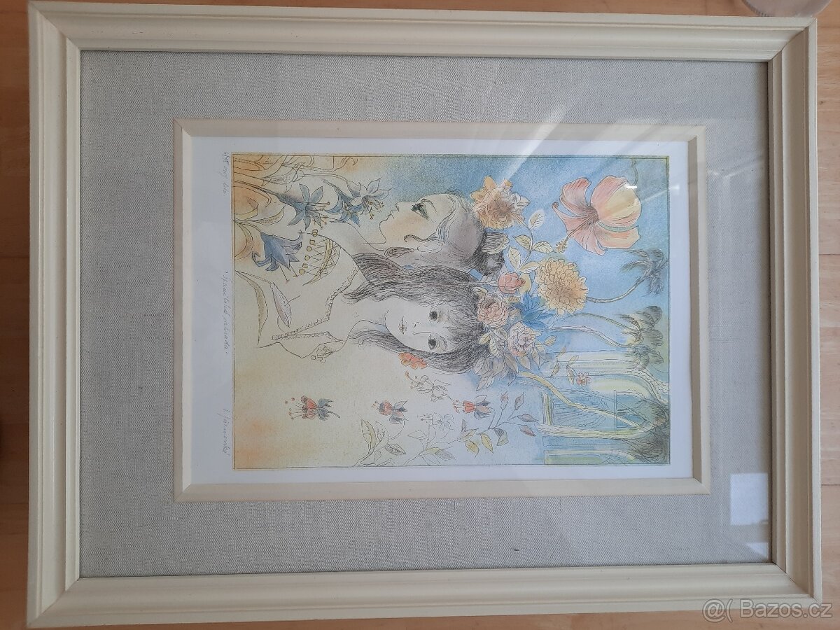 Obrazy Věry Tošenovské - 6