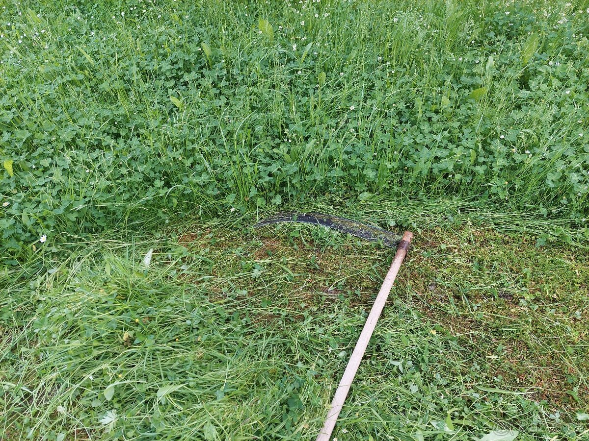 Domácí seno pro mazlíčky - 6