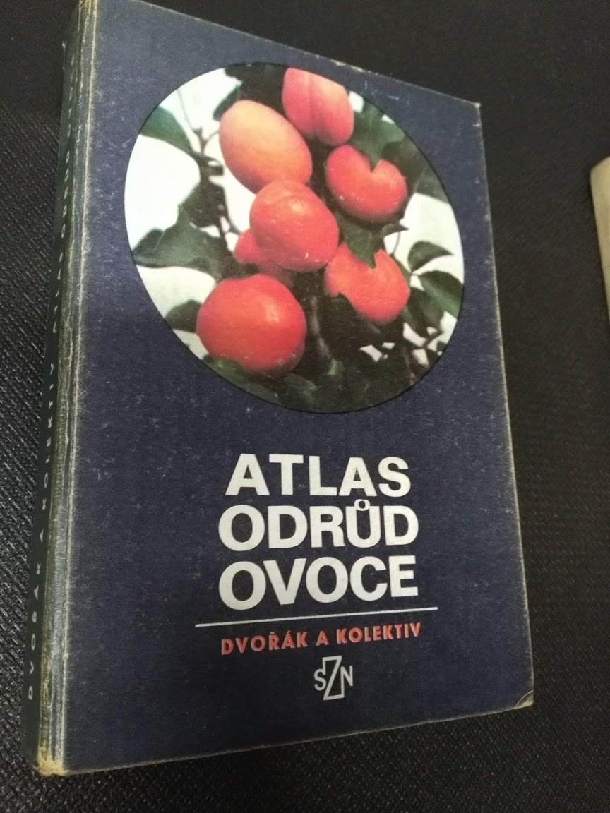 Knihy staré - B1 - 6