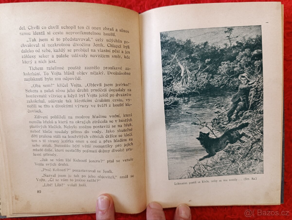 PRALES - Antonín Bašta - 6