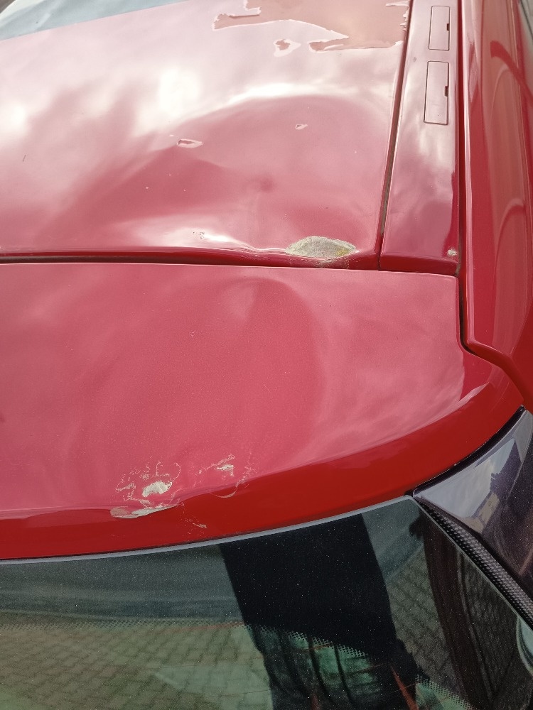 Renault Megane Scenic - 6