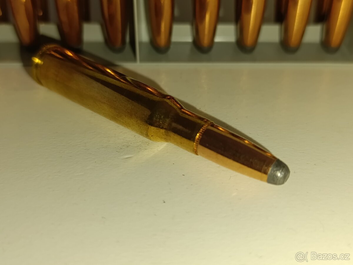 308 Winchester SP - 6