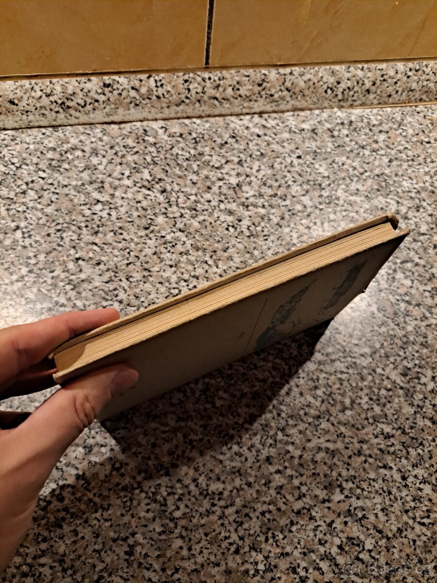 Volaní divočiny - Jack London - 6