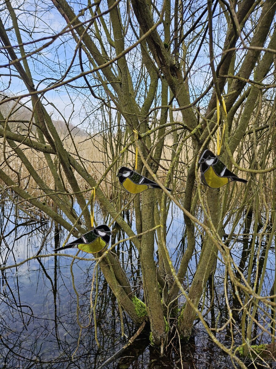 Sluneční Ptáček - 6