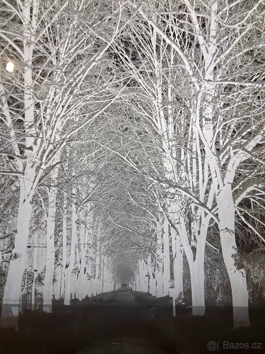 diapozitivy a různé - 6