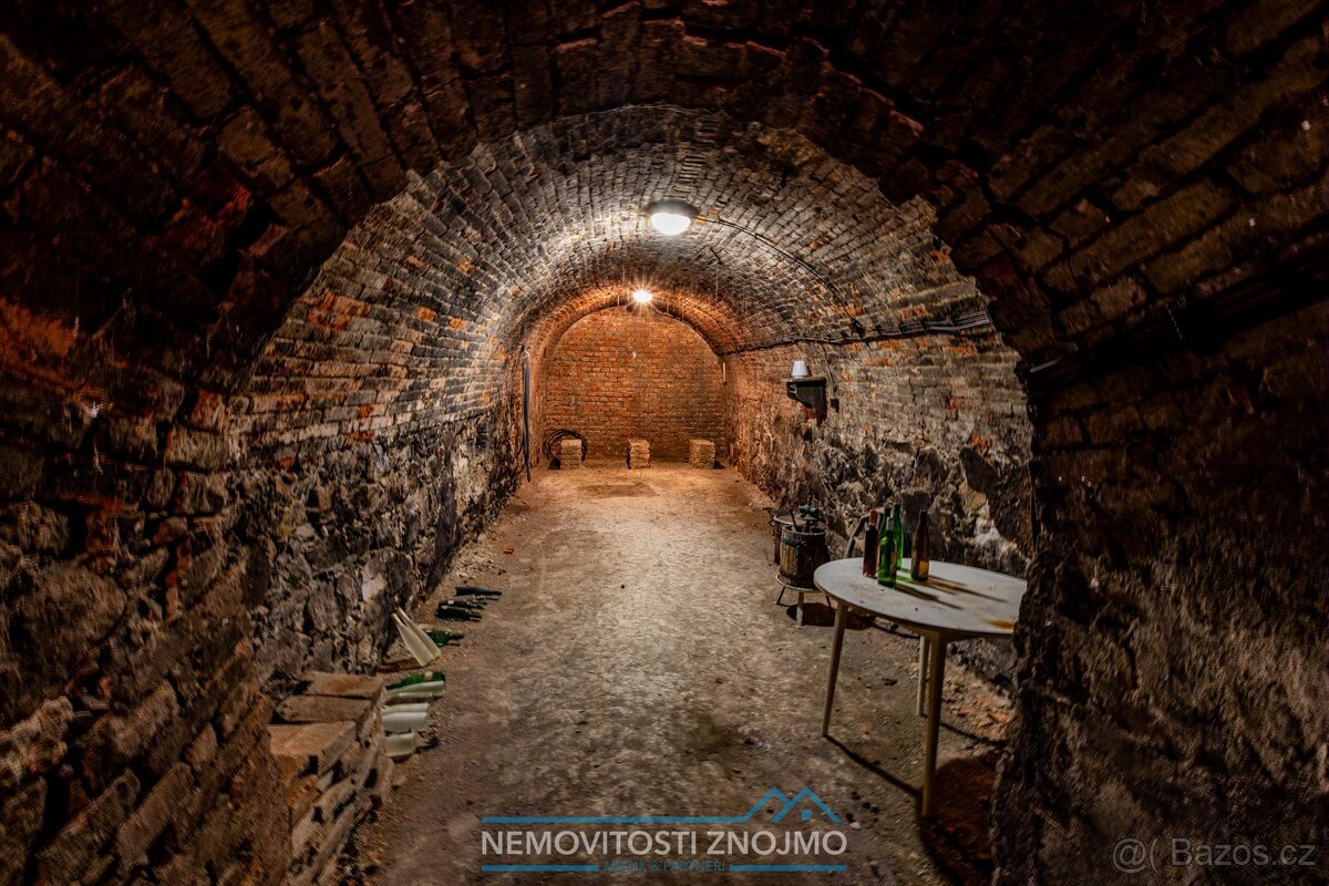 Prodej vinného sklepa, s pozemkem 227m2, k.ú. Strachotice u - 6
